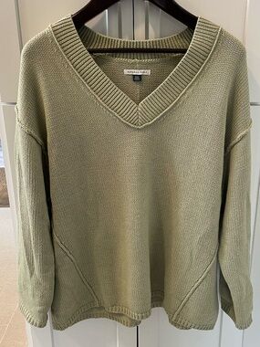 American Eagle V-Neck Sweater in Light Sage Green Size M